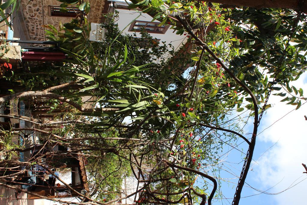 Lazer Pension Antalia Esterno foto
