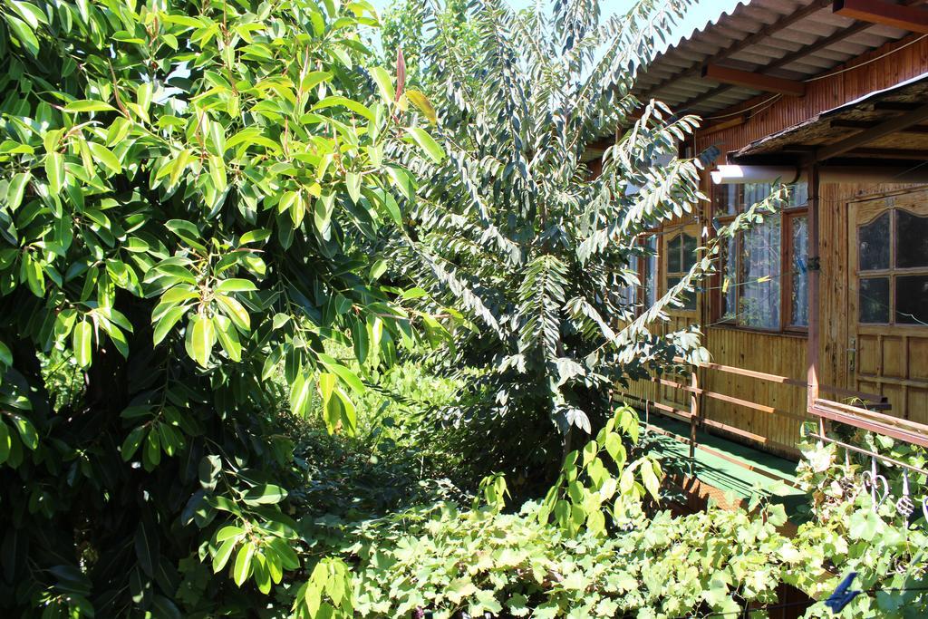 Lazer Pension Antalia Esterno foto