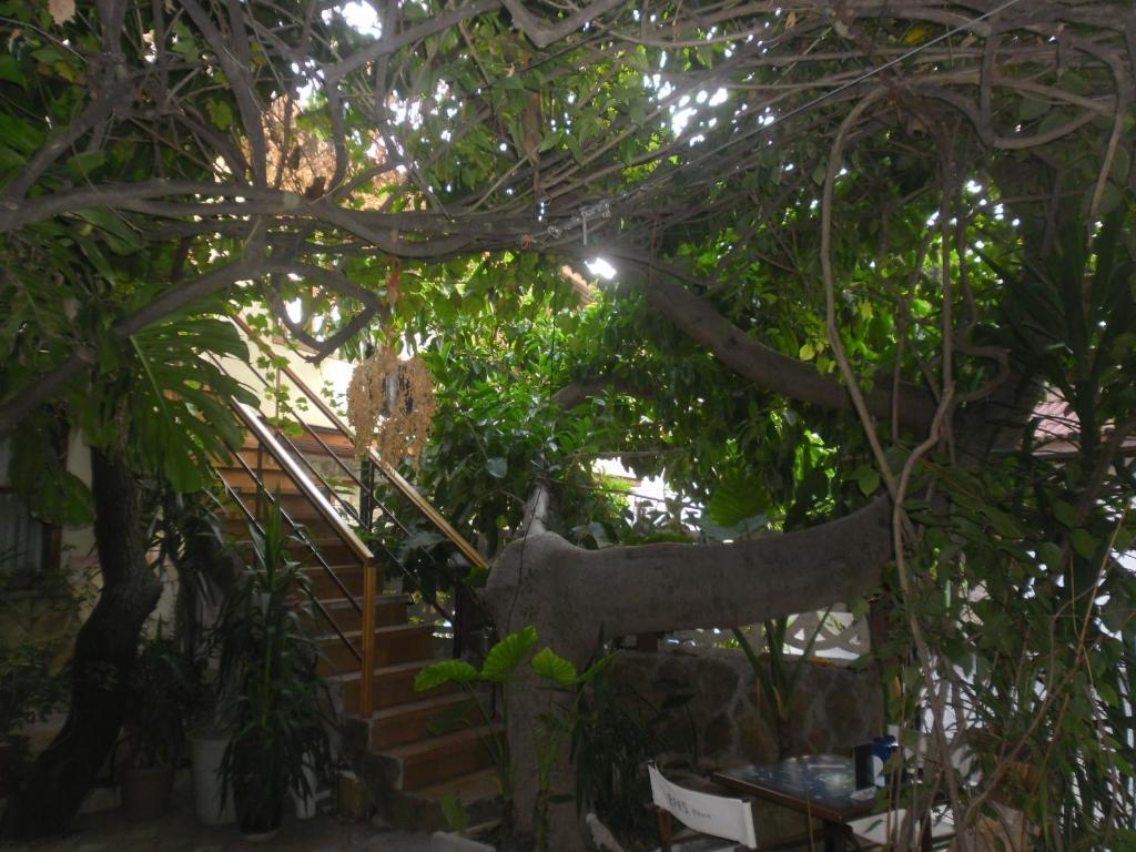 Lazer Pension Antalia Esterno foto